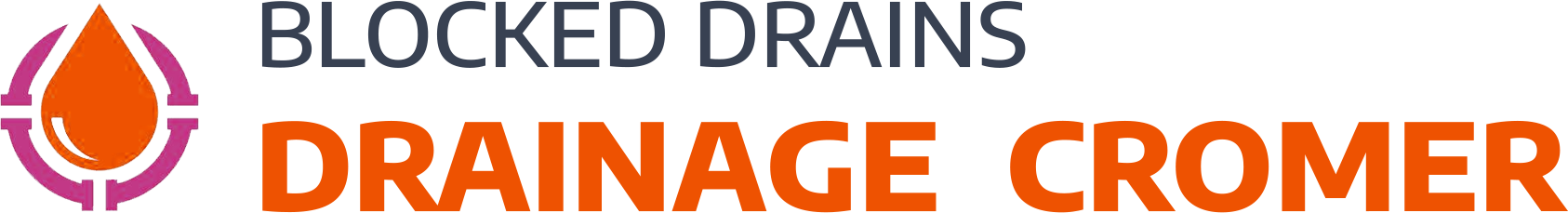 website logo